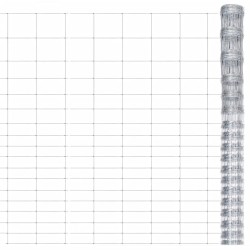 Gartenzaun Verzinkter Stahl 50x1,25 m Silbern