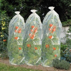 Nature Tomaten-Reifehaube 1500×50 cm