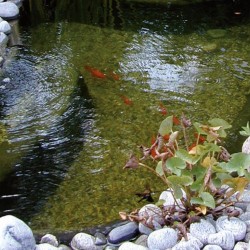 Ubbink Gartenteich-Kies 10...