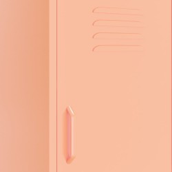 Lagerschrank Rosa 42,5x35x101,5 cm Stahl