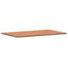 Waschtischplatte 100x60x1,5 cm Massivholz Buche