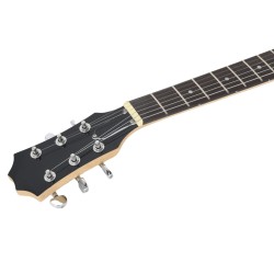 E-Gitarre für Anfänger mit Tasche Braun und Schwarz 4/4 39"