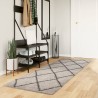 Teppich Shaggy Hochflor Modern Beige und Anthrazit 80x250 cm