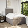 Boxspringbett mit Matratze Taupe 120x200 cm Stoff