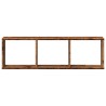 Wandschrank 100x16x30 cm Altholz-Optik Holzwerkstoff