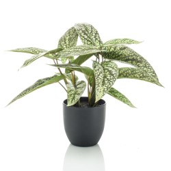 Emerald Künstliche Maranta...