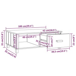 Couchtisch HAMAR Hellgrau 100x55x35 cm Massivholz Kiefer