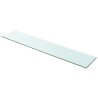 Regalboden Glas Transparent 100x20 cm