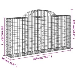 Gabione mit Hochbogen 200x30x100/120 cm Verzinktes Eisen