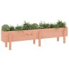 Hochbeet 160x30x38 cm Massivholz Douglasie