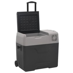 Kühlbox mit Rollen und Adapter Schwarz & Grau 40 L Polypropylen