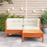 Gartensofa mit Kissen und Hocker 2-Sitzer