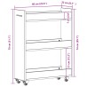 Schrank mit Rollen Räuchereiche 60x22x79 cm Holzwerkstoff