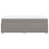 Boxspringbett mit Matratze Taupe 120x200 cm Stoff