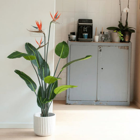 Künstliche Pflanze Strelitzia im Topf mit Blumen 120 cm