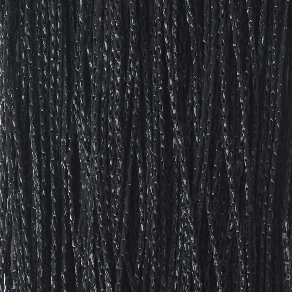 Fadenvorhänge 2 Stk. 100 x 250 cm Schwarz