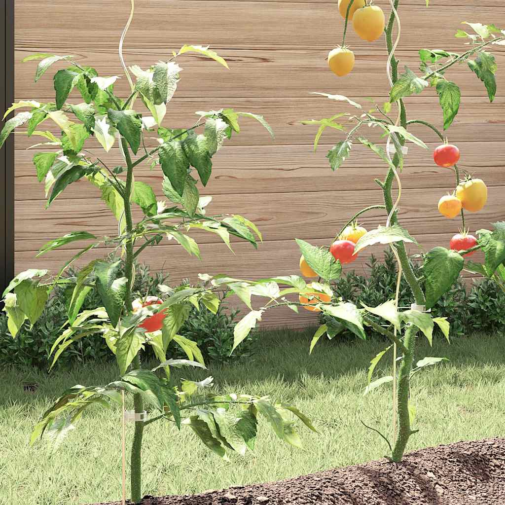 Tomaten-Spiralstäbe 50 Stk. 110 cm Verzinkter Stahl