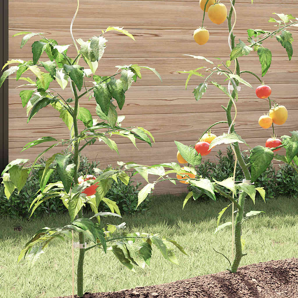Tomaten-Spiralstäbe 5 Stk. 110 cm Verzinkter Stahl