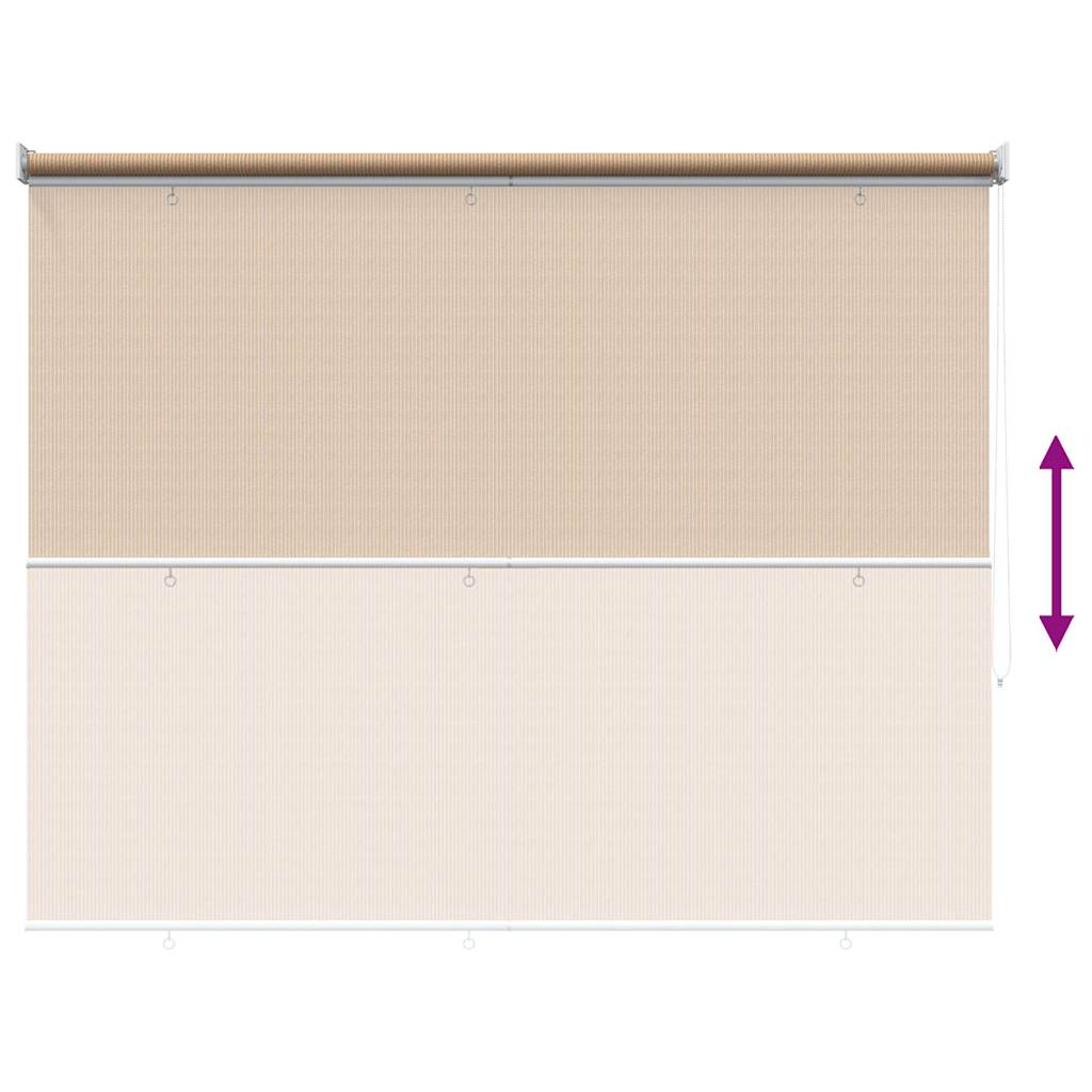Außenrollo 165 (B)x230 (H) cm Beige