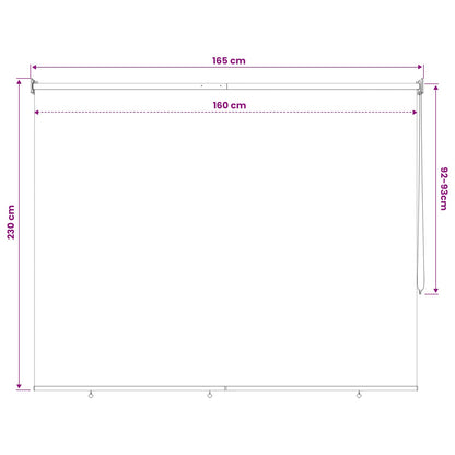 Außenrollo 165 (B)x230 (H) cm Anthrazit