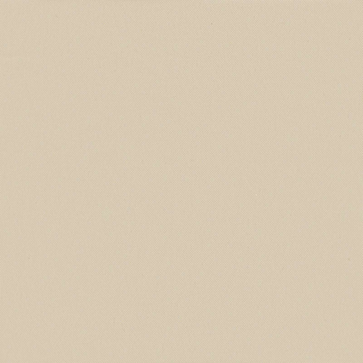 Faltbarer Terrassen-Seitenfächer Creme 400×200 cm