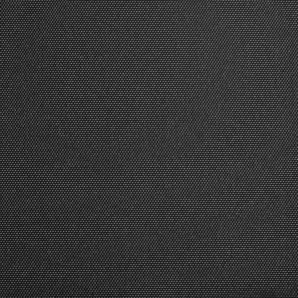 Markisenbespannung Canvas Anthrazit 3x2,5 m