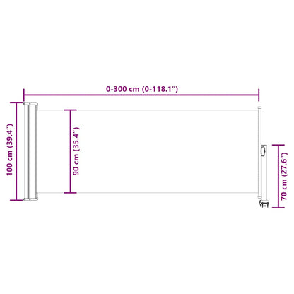 Ausziehbare Seitenmarkise 100x300 cm Grau