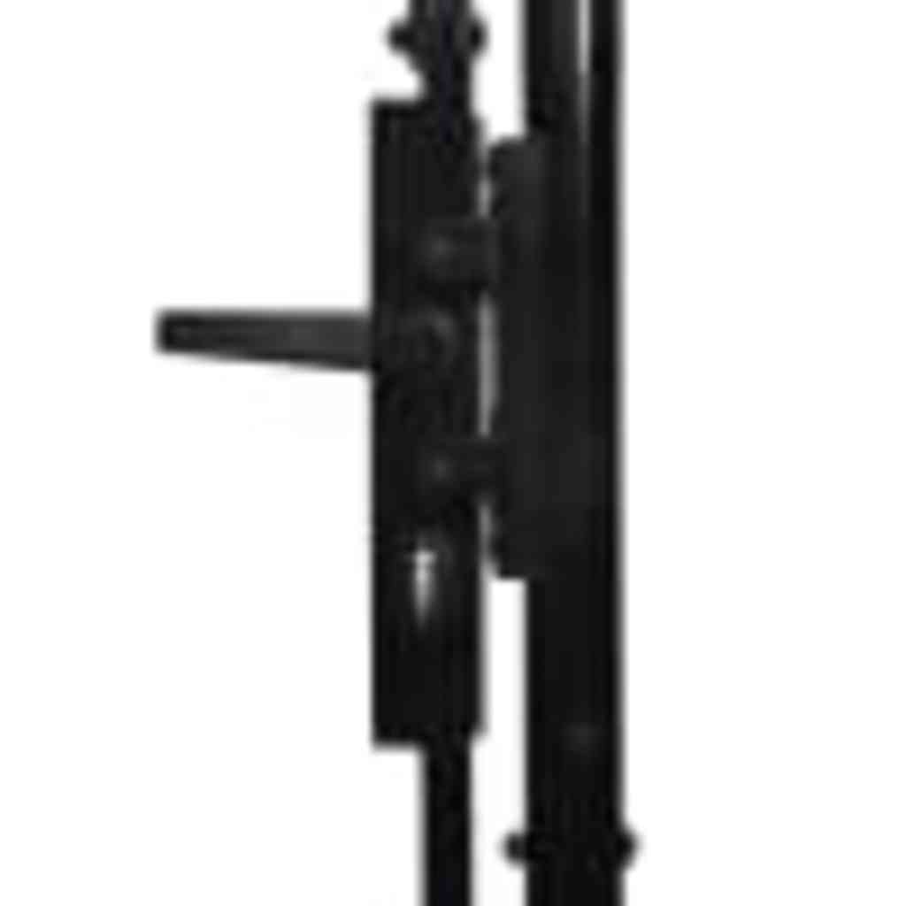 Doppeltür-Gartentor Woerden mit Speerspitze 299,5 x 149,5 cm