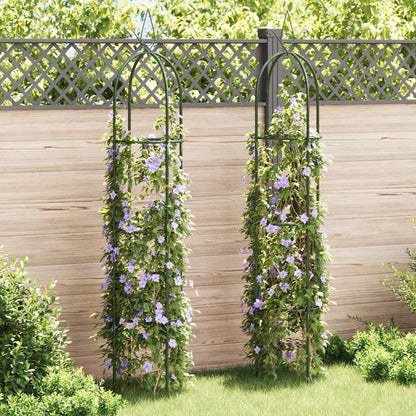 Garten-Ranktürme 2 Stk.
