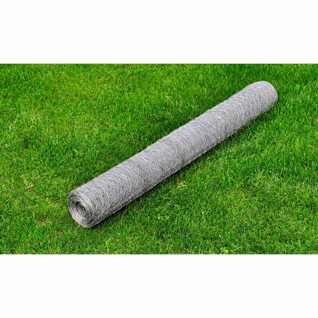 Drahtzaun für Hühner Verzinkter Stahl 25x1 m Silbern