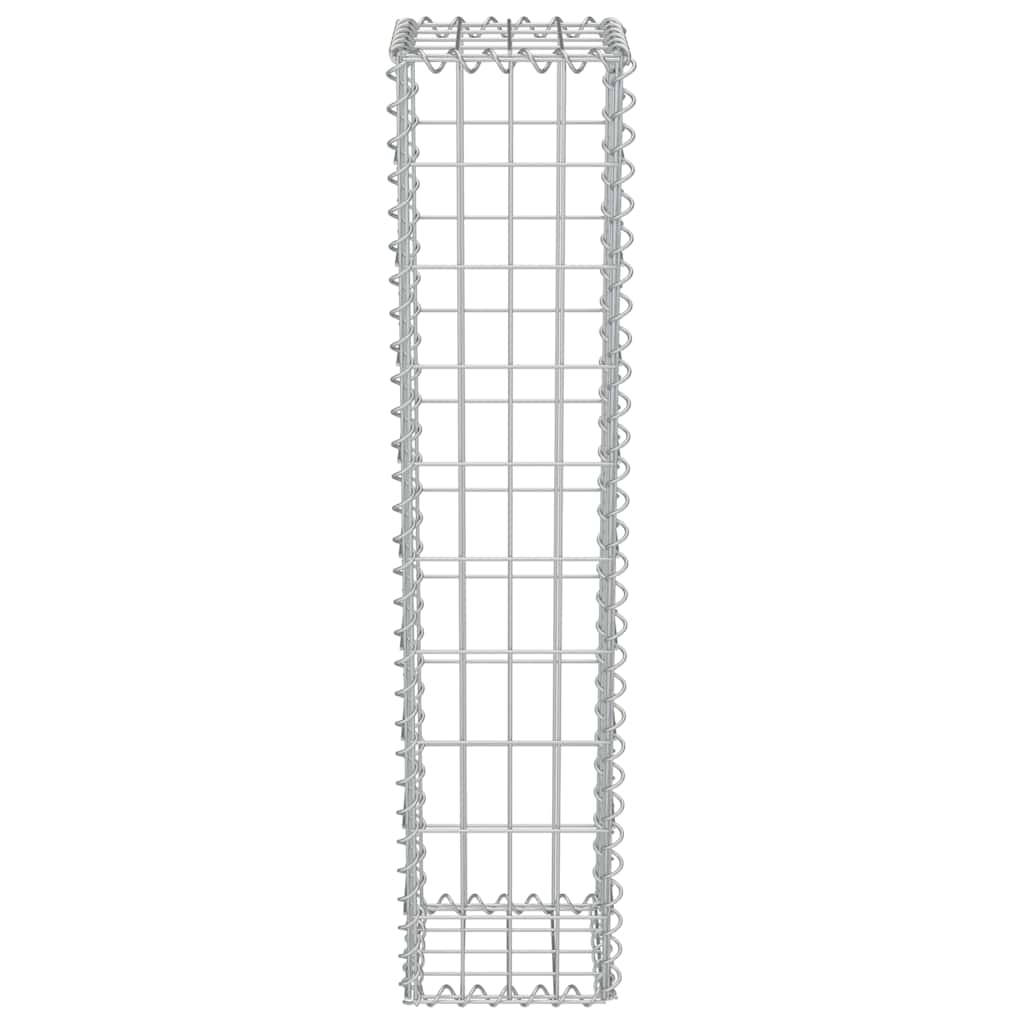 Gabionenwand mit Abdeckung Verzinkter Stahl 20×20×100 cm