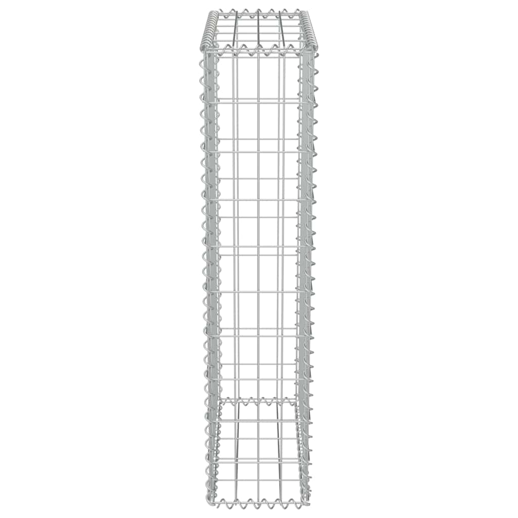 Gabionenwand mit Abdeckung Verzinkter Stahl 50×20×100 cm