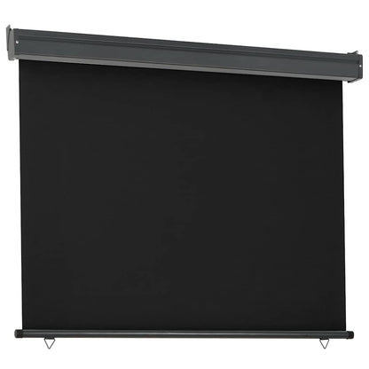 Balkon-Seitenmarkise 125x250 cm Schwarz