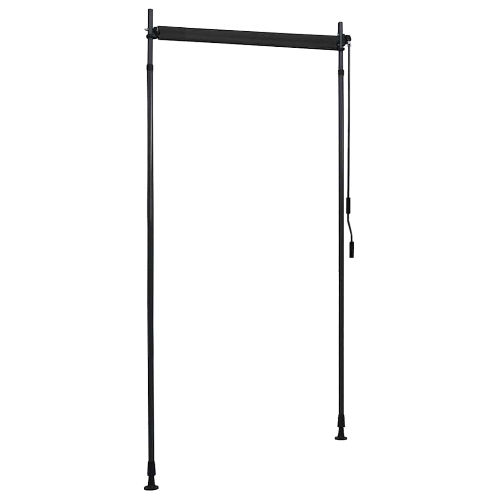 Außenrollo 100 x 270 cm Anthrazit