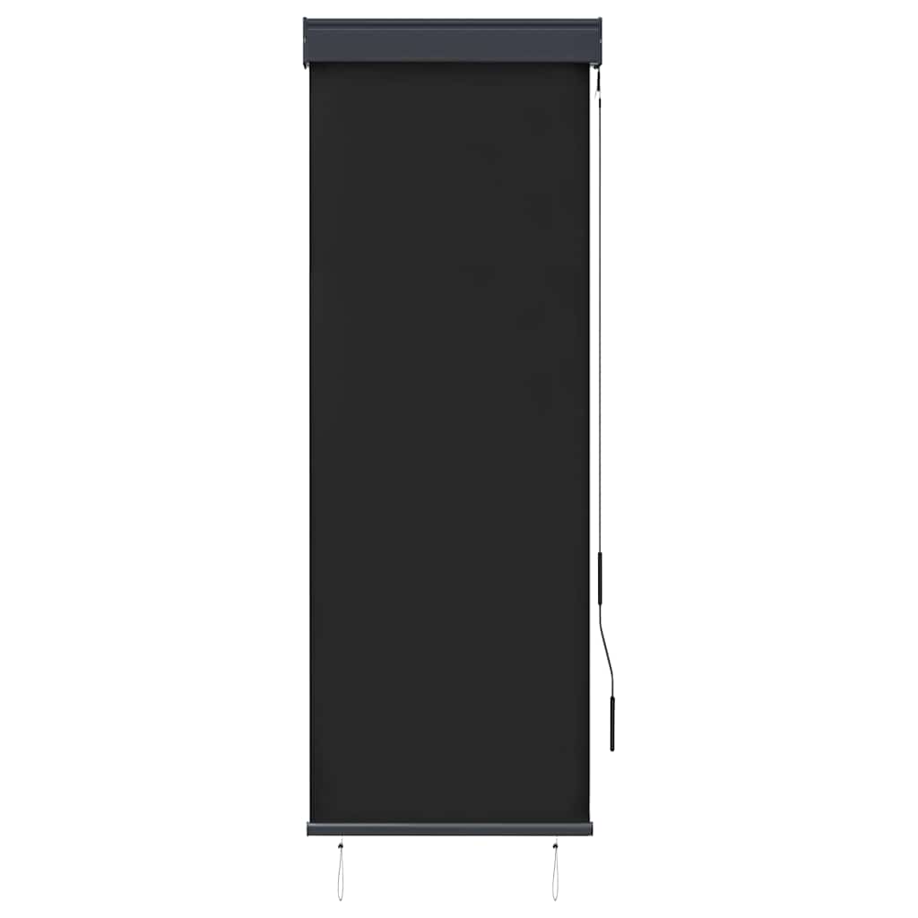 Außenrollo 60 x 250 cm Anthrazit