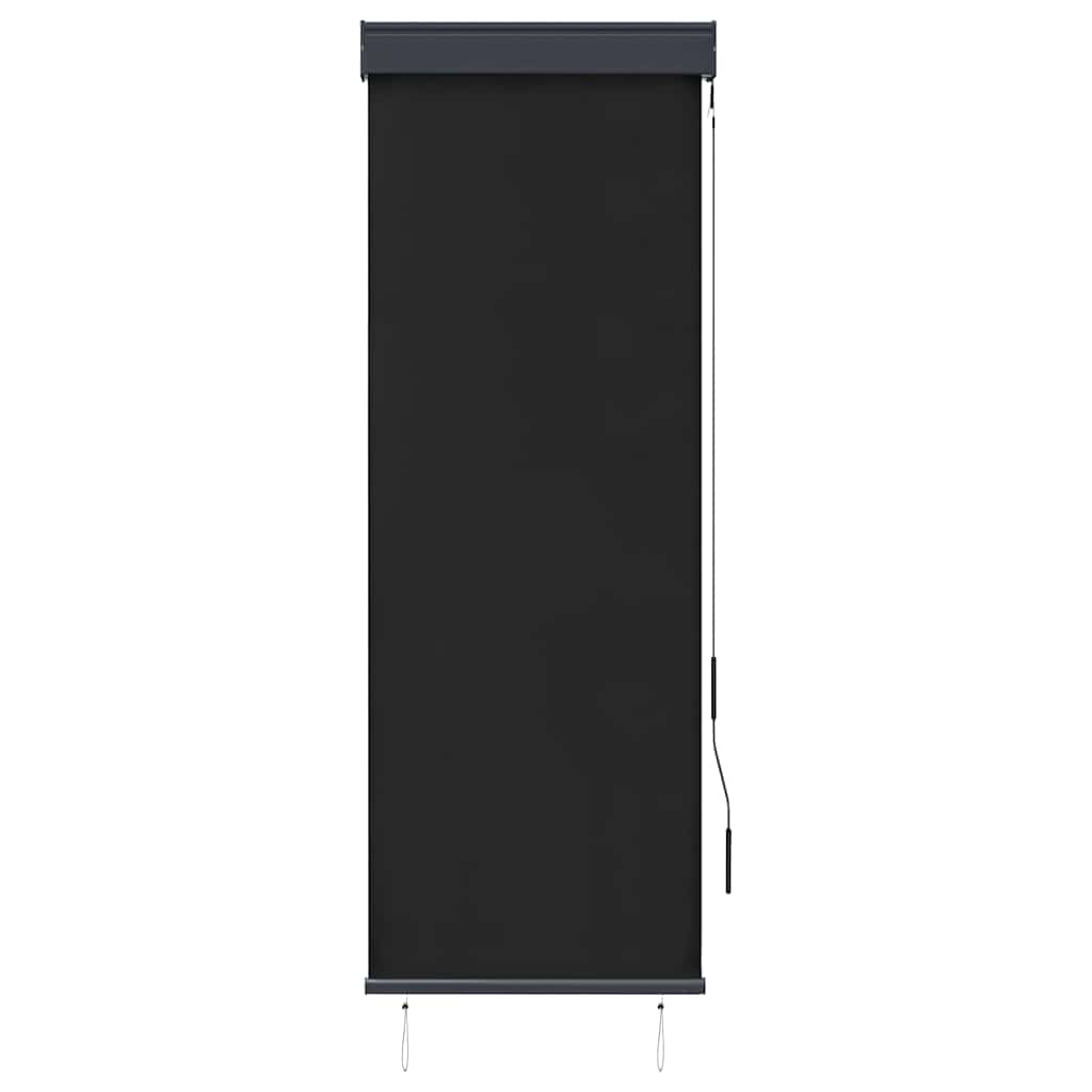 Außenrollo 60 x 250 cm Anthrazit