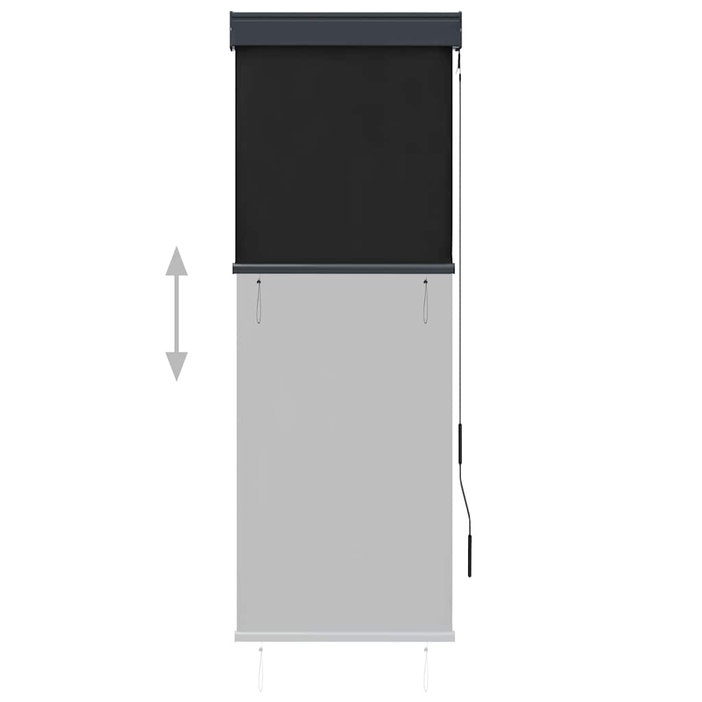 Außenrollo 60 x 250 cm Anthrazit