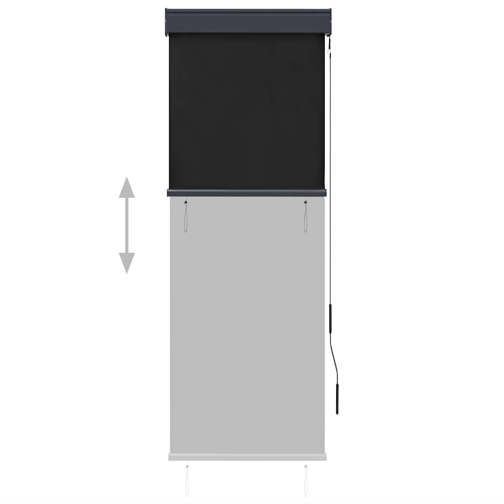 Außenrollo 60 x 250 cm Anthrazit