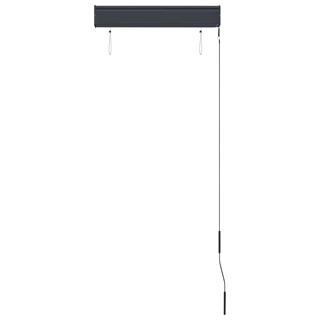 Außenrollo 60 x 250 cm Anthrazit