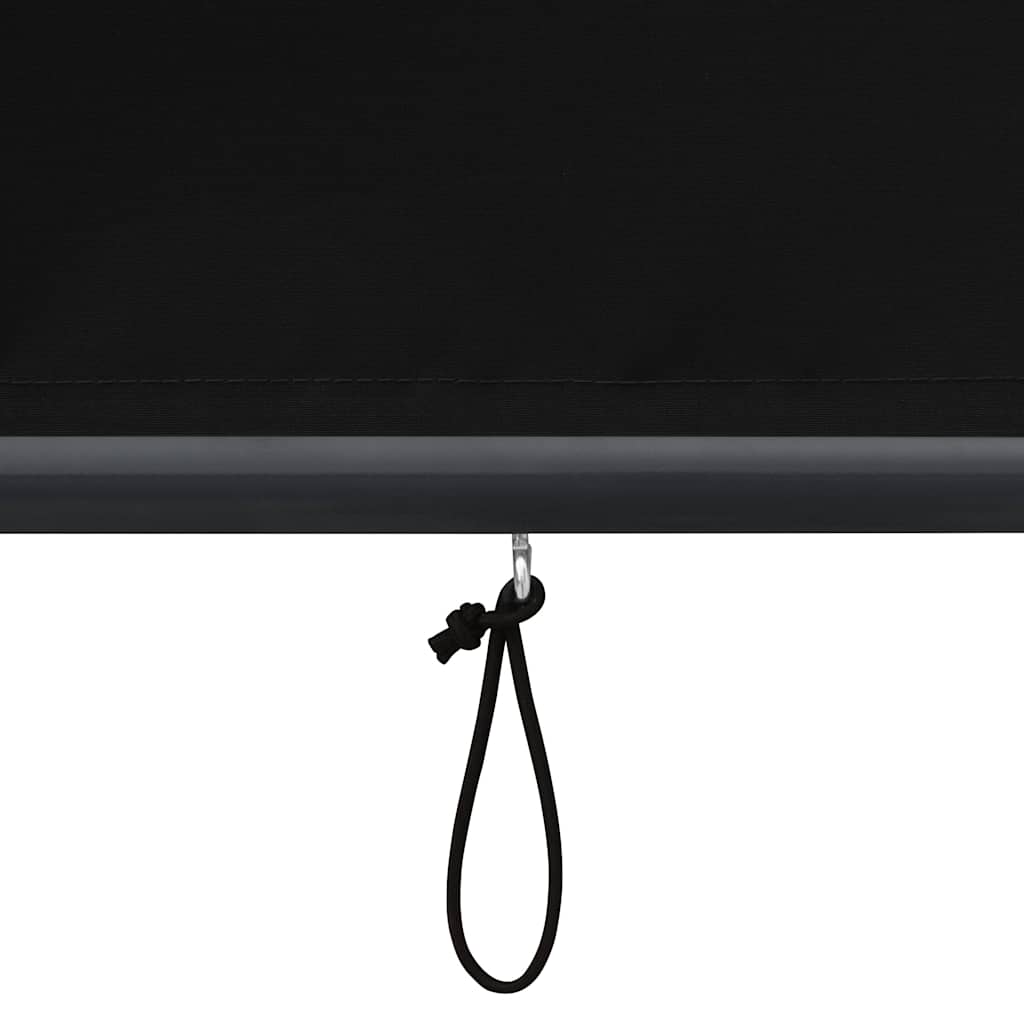 Außenrollo 60 x 250 cm Anthrazit