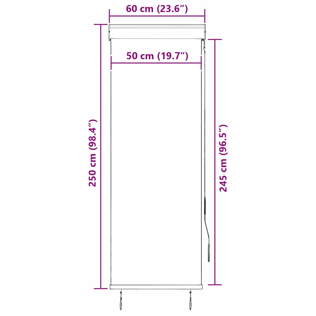 Außenrollo 60 x 250 cm Anthrazit