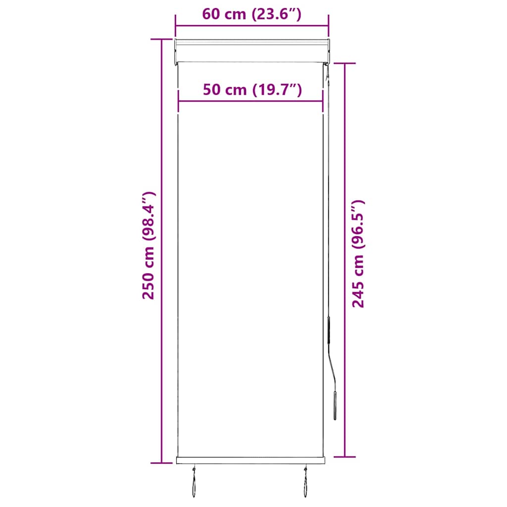 Außenrollo 60 x 250 cm Anthrazit