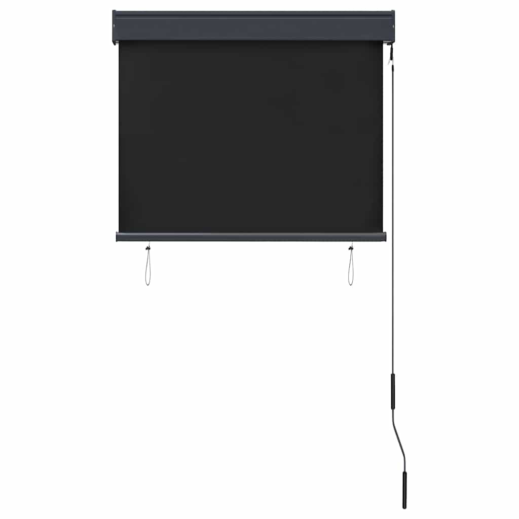 Außenrollo 80 x 250 cm Anthrazit