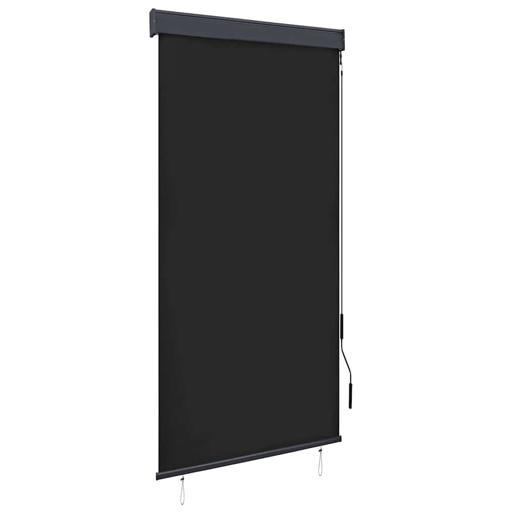 Außenrollo 100 x 250 cm Anthrazit