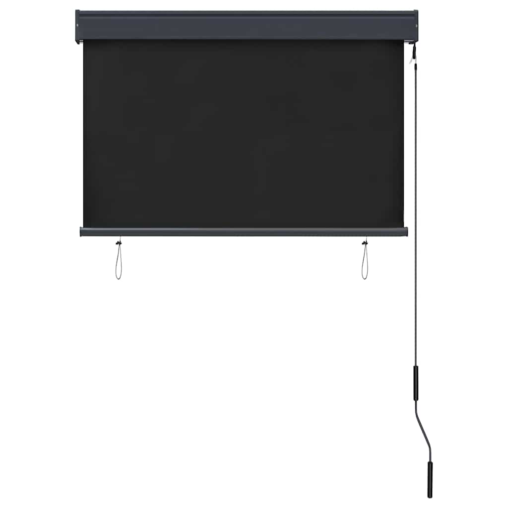 Außenrollo 100 x 250 cm Anthrazit