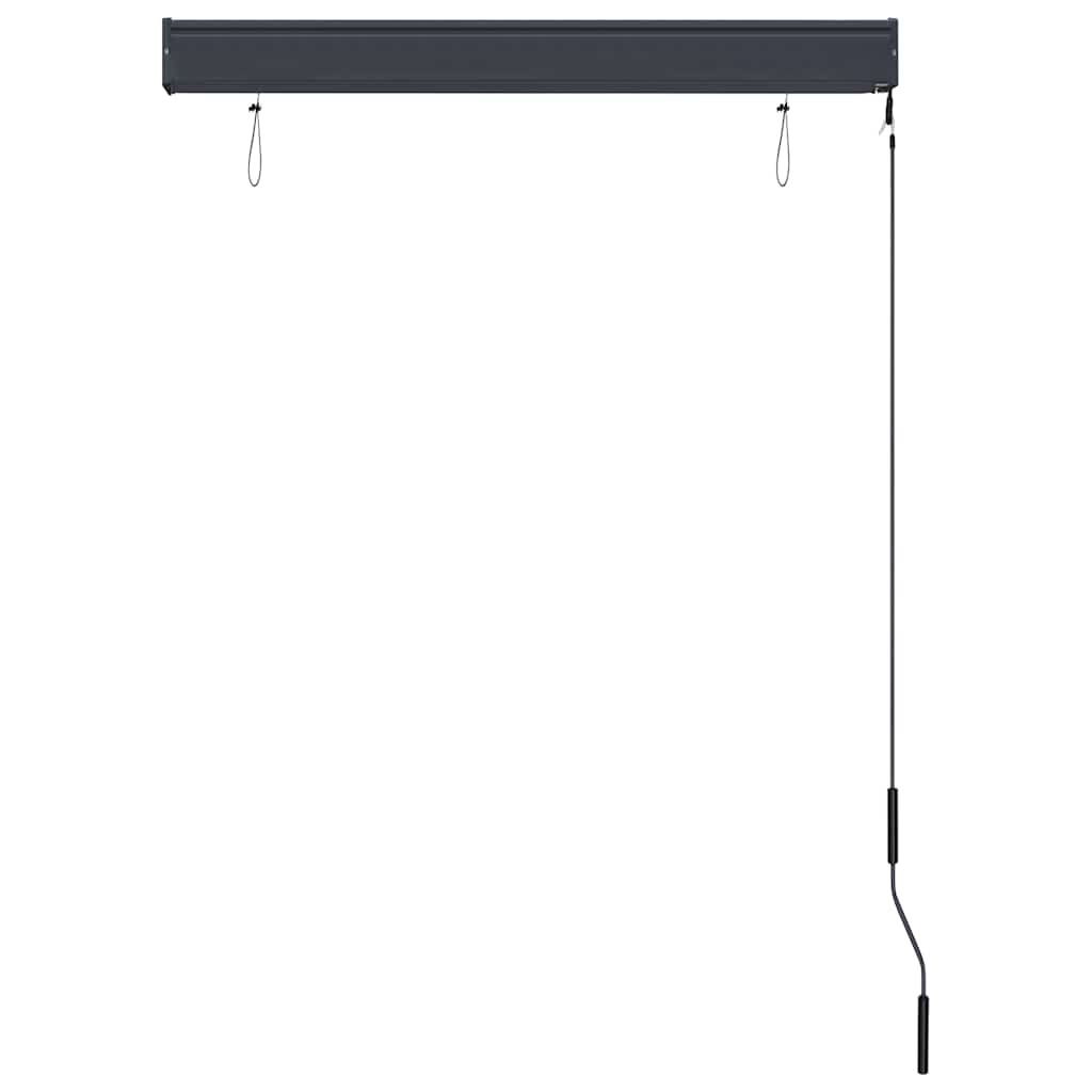 Außenrollo 100 x 250 cm Anthrazit