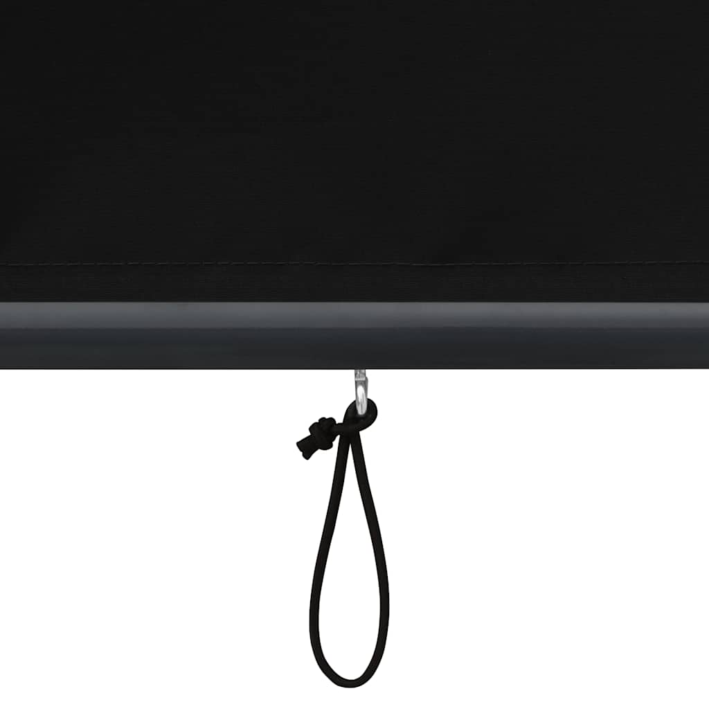 Außenrollo 100 x 250 cm Anthrazit