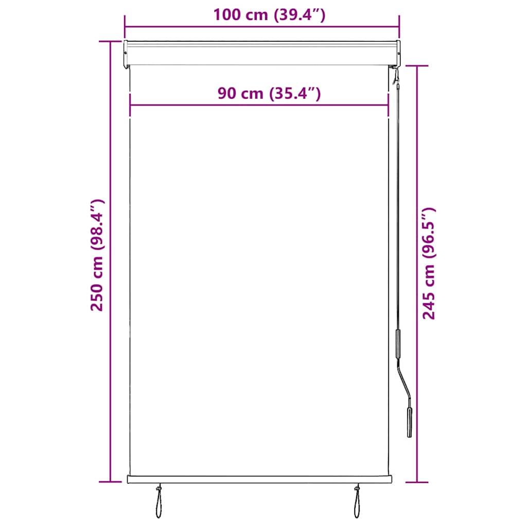 Außenrollo 100 x 250 cm Anthrazit