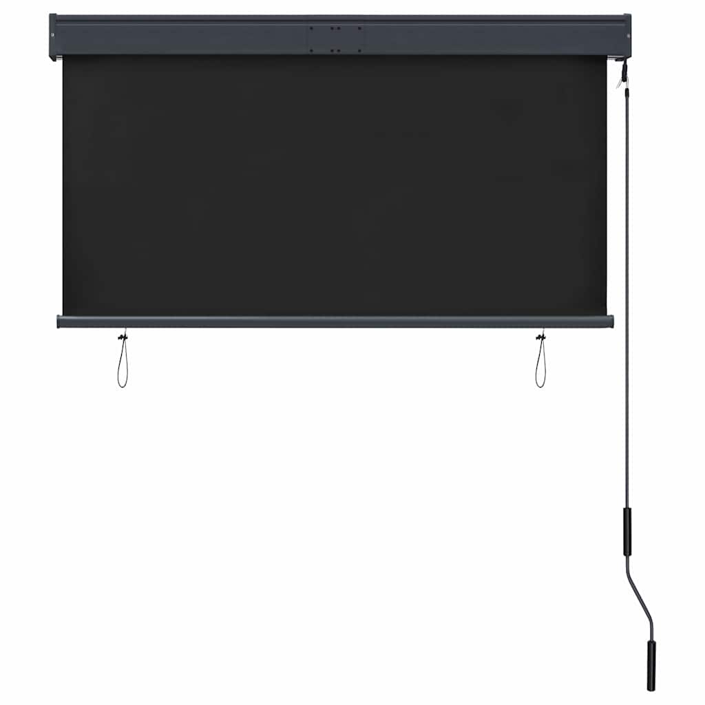 Außenrollo 120 x 250 cm Anthrazit