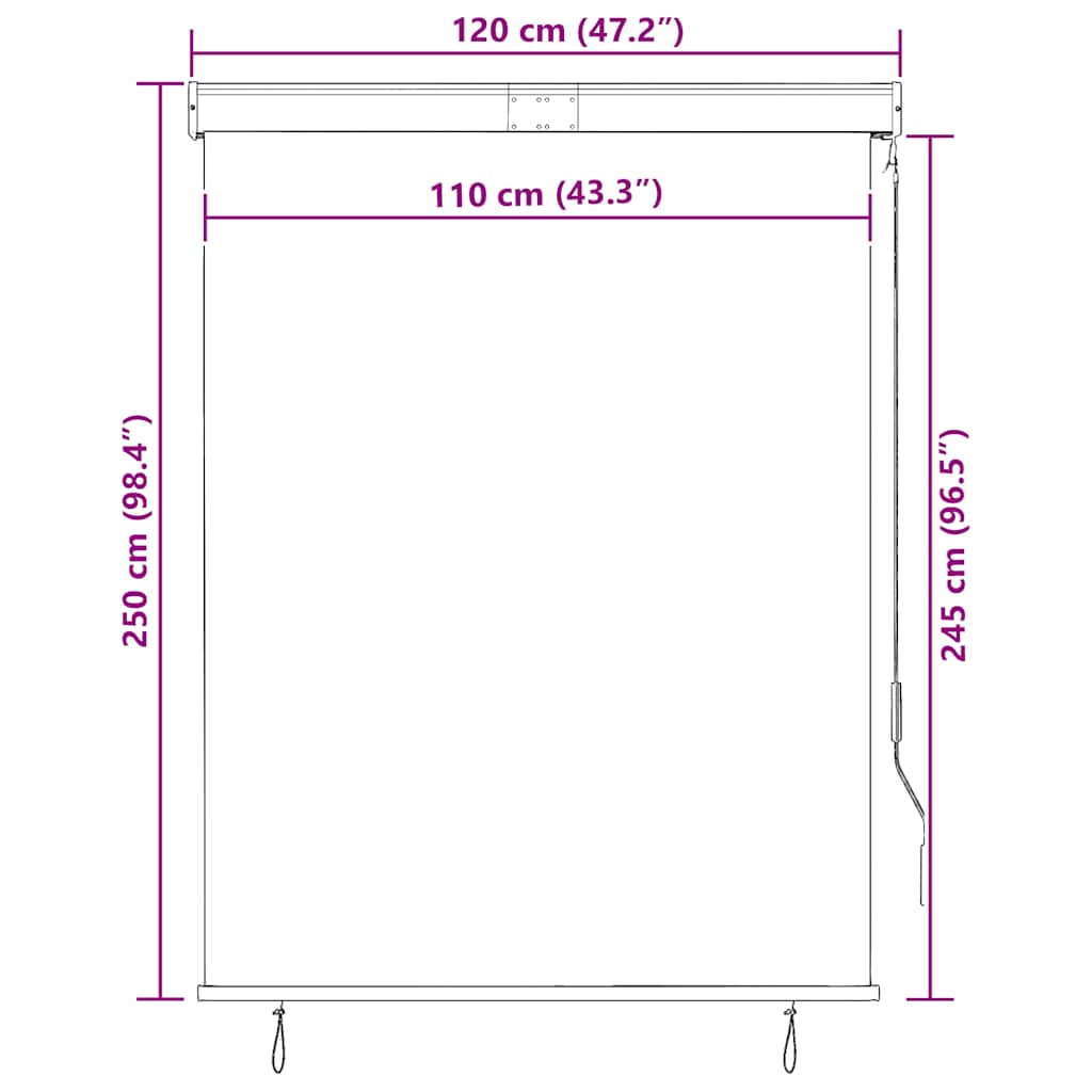 Außenrollo 120 x 250 cm Anthrazit